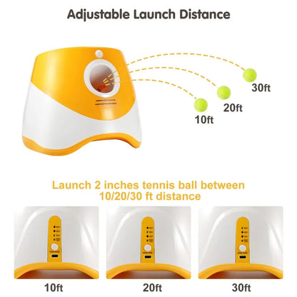 🐕Automatic Dog Ball Launcher