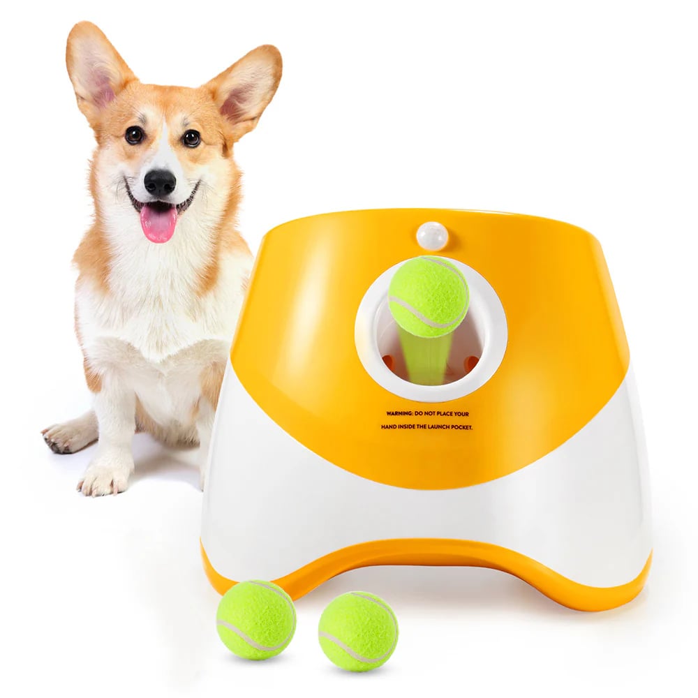 🐕Automatic Dog Ball Launcher