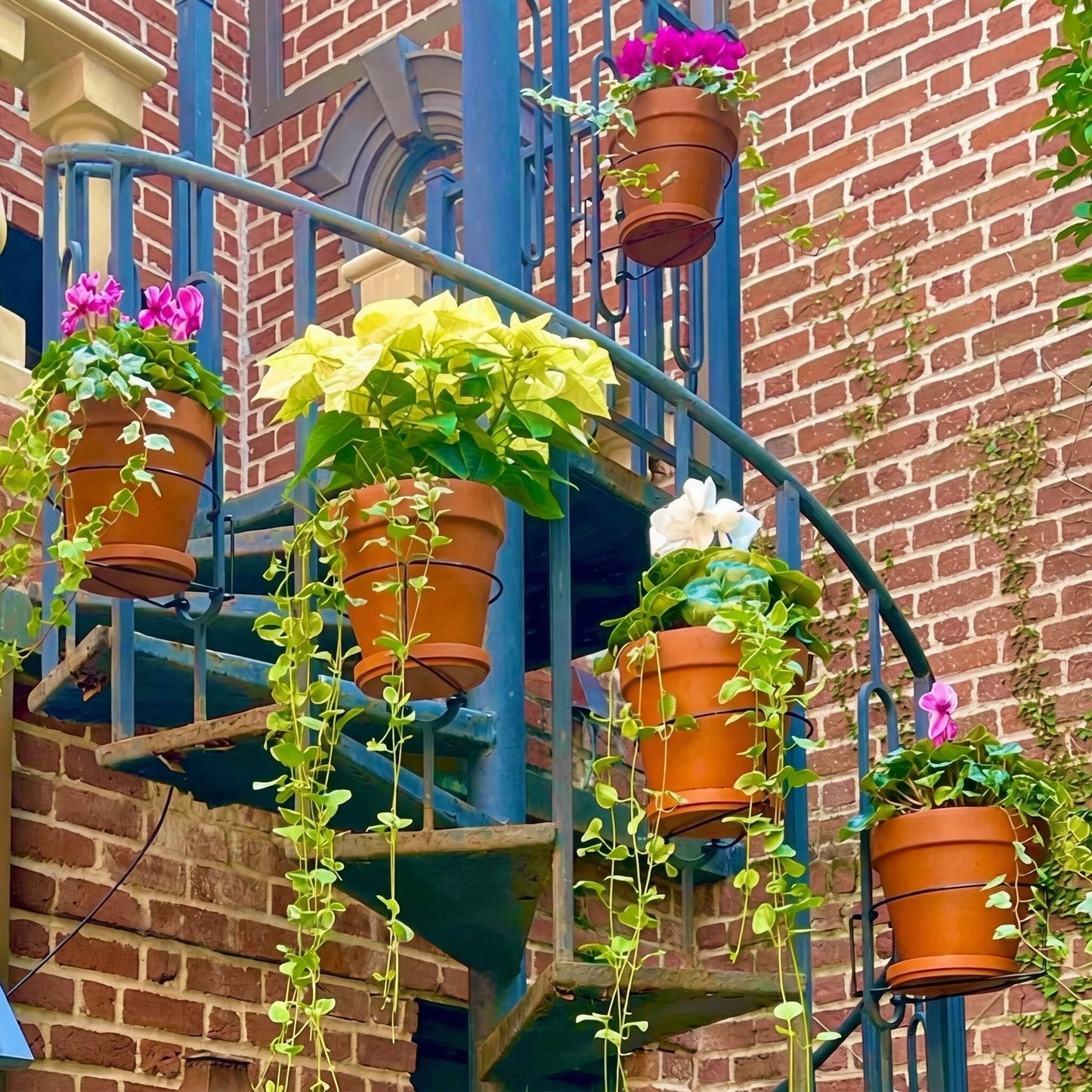🔥2026 Hot Sale - Railing Plant Hanger