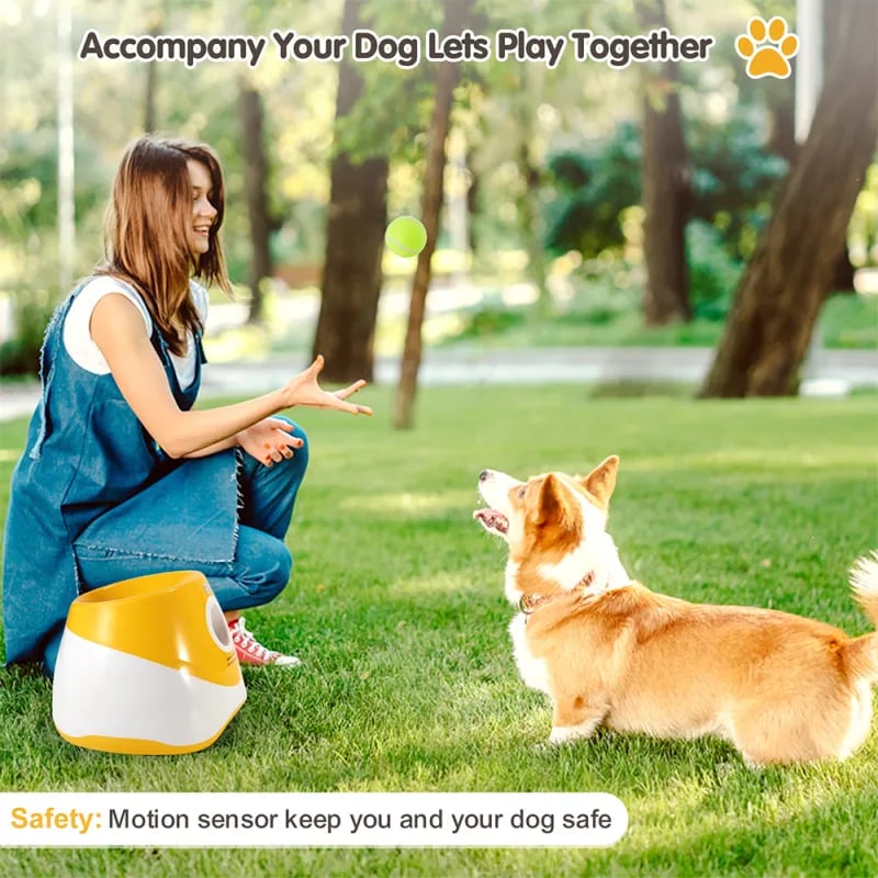 🐕Automatic Dog Ball Launcher