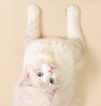 🐾 Duck-Shaped Pet Treat Dispenser: Interactive Feeding Toy for Cats & Dogs