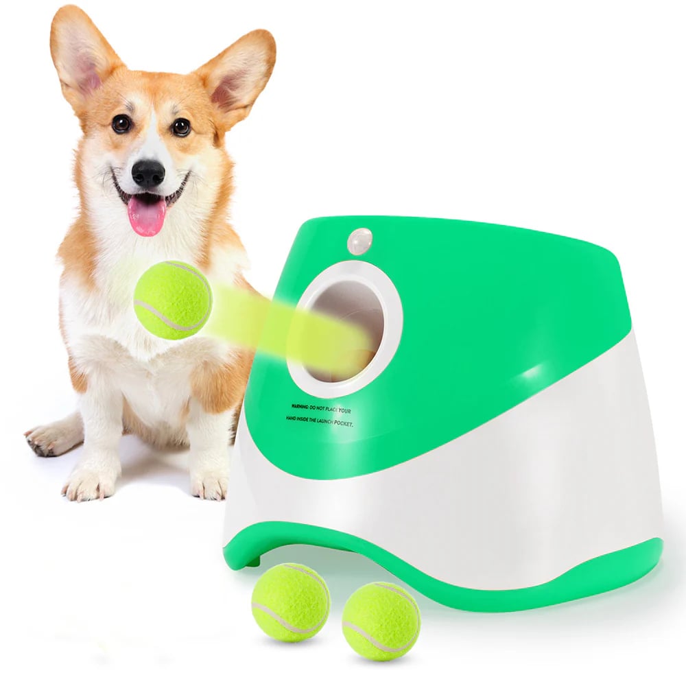 🐕Automatic Dog Ball Launcher