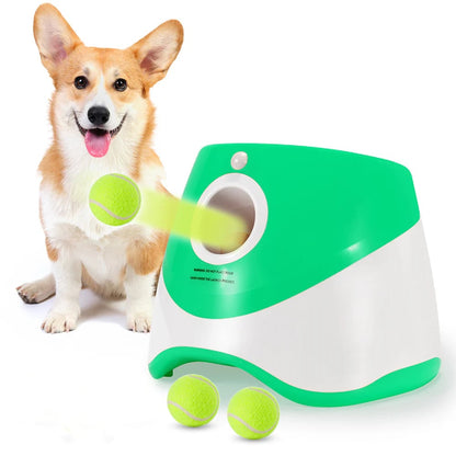 🐕Automatic Dog Ball Launcher