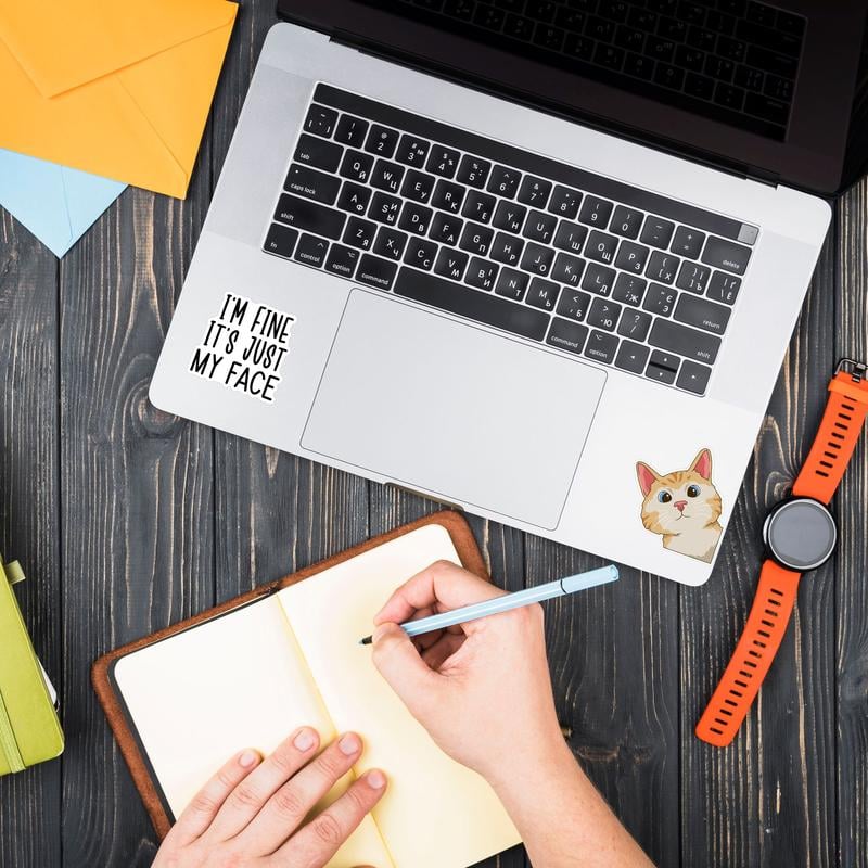 ✨130 Pcs Funny Meme Stickers Set – Hilarious Saying & Cartoon Decals for Laptops, Water Bottles & Gifts | Hot Seller for Humor Lovers!😂